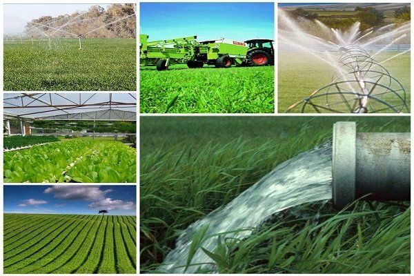 اشتغال روستاییان به ۲۵ درصد رسیده است