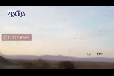 ملخ ها به سیستان و بلوچستان هجوم بردند+ فیلم