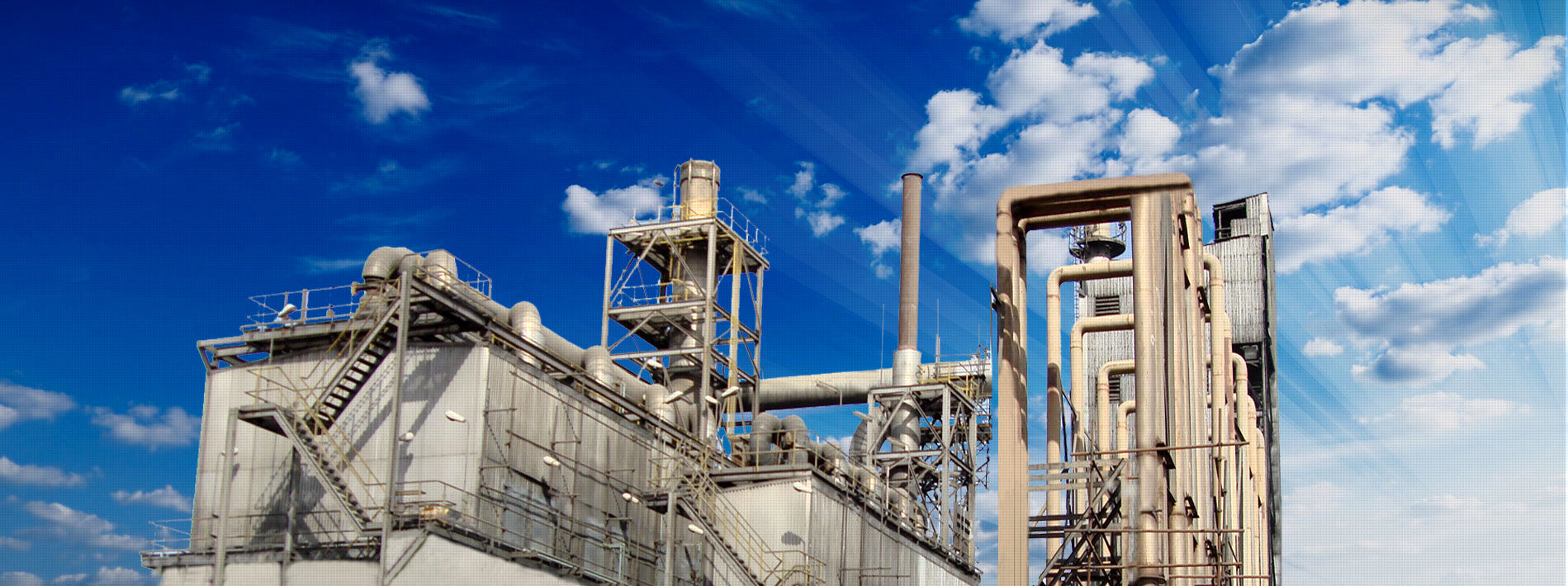 پیش بینی درآمد ۲۷۴ میلیاردی شکربن برای سال مالی ۹۸