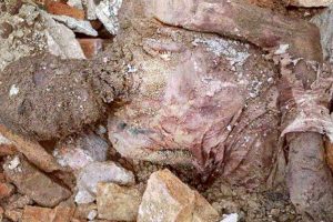 روایت سازمان میراث فرهنگی از جسد مومیایی منسوب به رضاشاه / در حال پیگیری هستیم