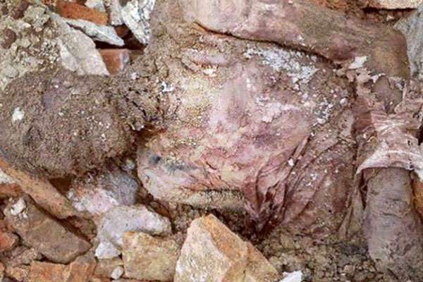 روایت سازمان میراث فرهنگی از جسد مومیایی منسوب به رضاشاه / در حال پیگیری هستیم