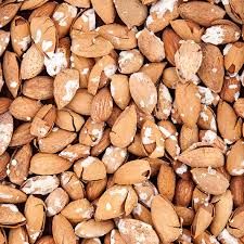 هر کیلو بادام منقا یک پوست ۴۱ هزار تومان