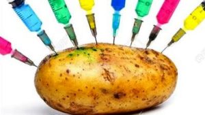 واردات محصولات تراریخته مشمول اخذ مجوز از جهاد کشاورزی شد