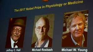 سه دانشمند آمریکایی مشترکاً برنده نوبل پزشکی شدند
