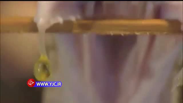 نیش مار چه بلایی به سر خون  انسان می آورد + فیلم