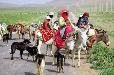 عشایر با مدرک دکتری