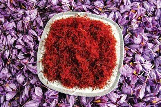وضعیت صادرات زعفران کشور آشفته است