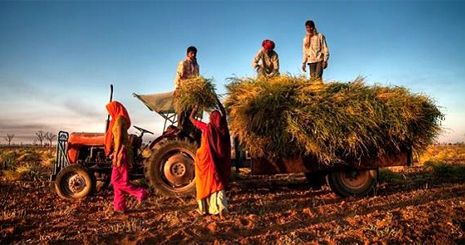 فروش کالاهای روستاییان از طریق فضای مجازی