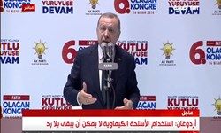 اردوغان از حمله هوایی به دمشق حمایت کرد