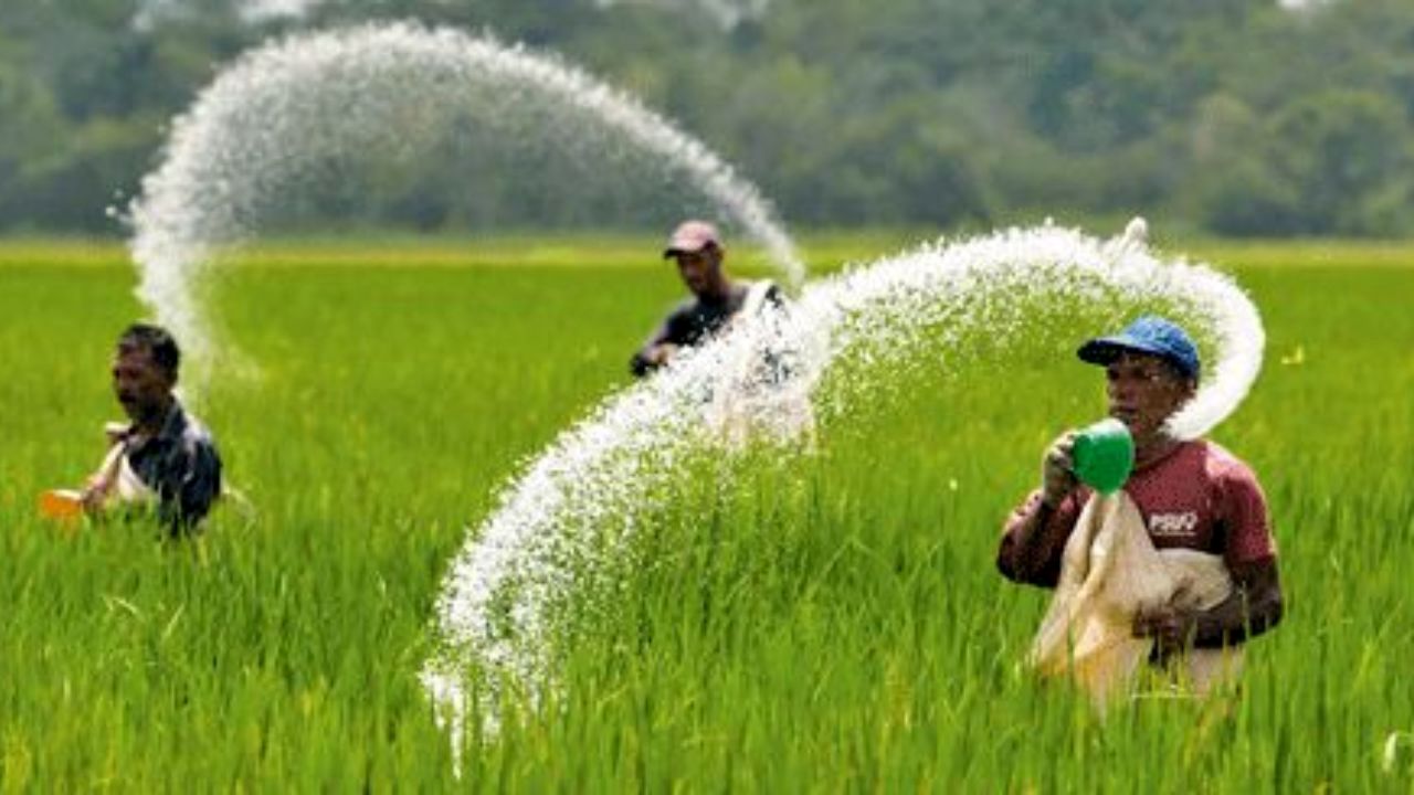 حاشیه سود اورهایها ۲۱ درصد بالا رفت