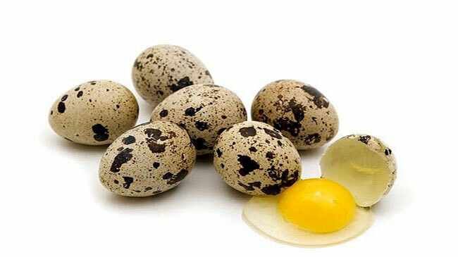 قیمت انواع تخم بلدرچین در بازار
