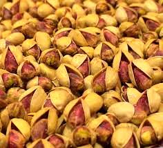 هر کیلو پسته کله قوچی ۵۰ هزار تومان