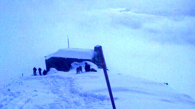 افراد مفقود در توچال پیدا شدند