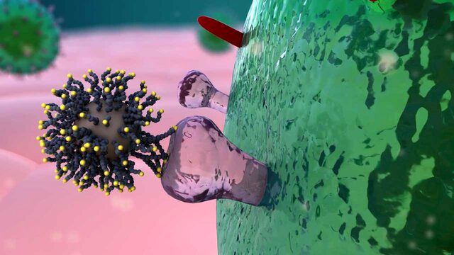 ویروس ها سرما دوست هستند/ویروس در دمای -۲۰ درجه بیشتر زنده می مانند