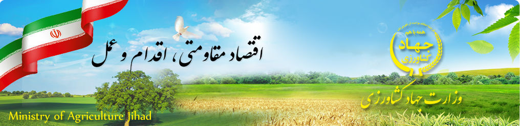 نوید تسهیلات برای کشاورزان در جشنواره سیب دماوند