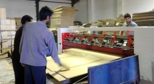 جذب نیروهای فارغ التحصیل دانشگاهی معافیت مالیاتی در پی دارد