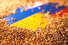 درخواست ۵ کشور اتحادیه اروپا برای تمدید ممنوعیت غلات اوکراین
