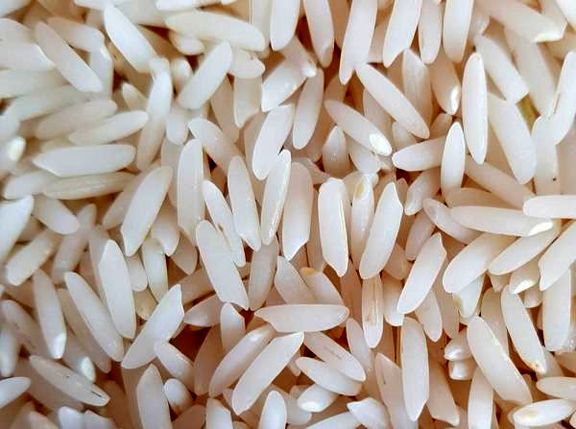 اعلام آمادگی انجمن واردکنندگان برنج برای خرید برنج ایرانی