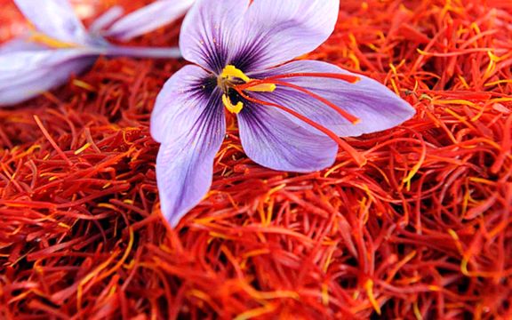 ۷۰۰ کیلوگرم زعفران در بورس کالا عرضه می‌شود