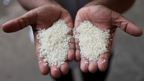 افزایش قابل توجه نرخ فروش برنج هندی / کاهش تولید برنج هندی نرخ را بالا برد