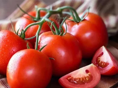 عوارض صادراتی گوجه فرنگی ۲۰ درصد کاهش یافت / بخشنامه هنوز به گمرکات ابلاغ نشده است