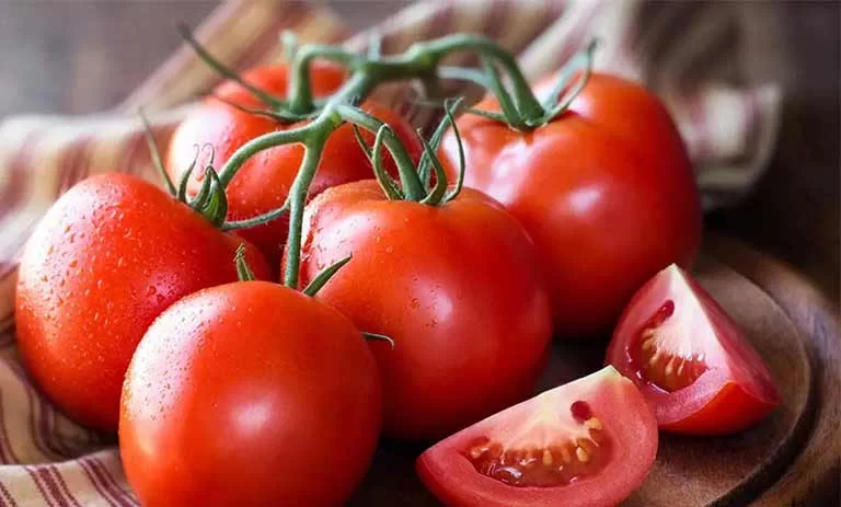 عوارض صادراتی گوجه فرنگی ۲۰ درصد کاهش یافت / بخشنامه هنوز به گمرکات ابلاغ نشده است