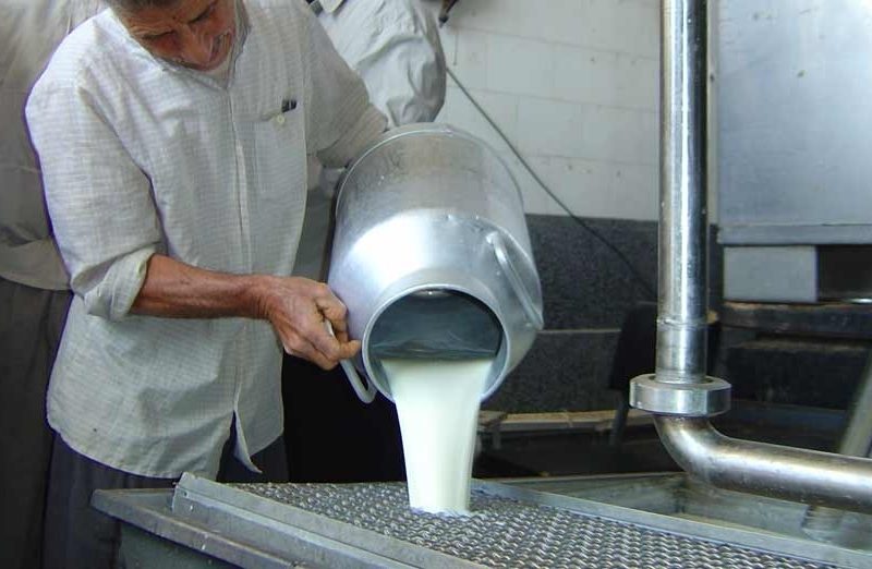 ایران نوزدهمین تولید کننده شیر در جهان است / محصولات لبنی ایران به ۲۹ کشور صادر می شود