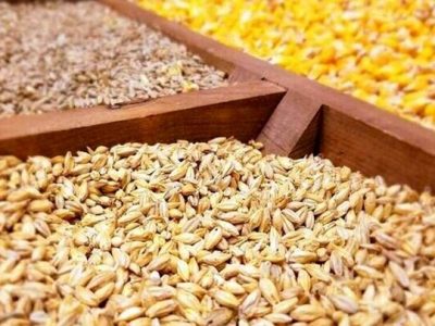 اعلام قیمت ارزی کالاهای اساسی و نهاده های بخش کشاورزی توسط وزارت جهاد کشاورزی