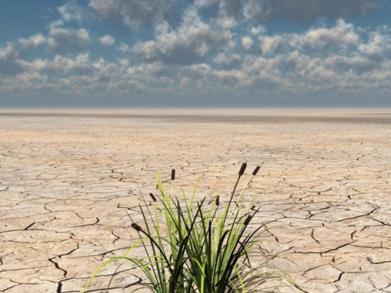 روند خشکسالی در ایران از ۳۰ سال قبل تشدید شده است