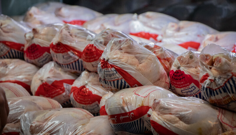 خریداری ۱۵ هزار تن مرغ منجد برای ذخایر استراتژیک و حمایت از مرغداران