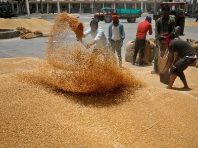 شاخص قیمت مواد غذایی در سراسر جهان روند کاهشی داشت