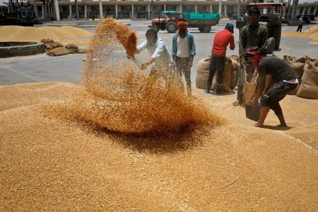 شاخص قیمت مواد غذایی در سراسر جهان روند کاهشی داشت